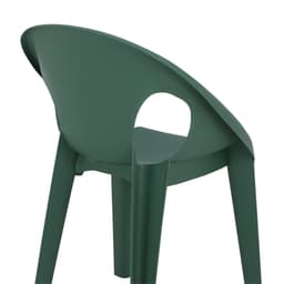 เก้าอี้ทานอาหาร รุ่นฟอสเตอร์ - สีเขียว