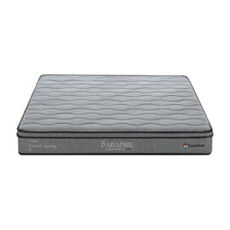 ที่นอน รุ่นพาราไดซ์ ขนาด 5 ฟุต หนา 9 นิ้ว พร้อมหมอน 2 ใบ - สีเทา/เทาเข้ม