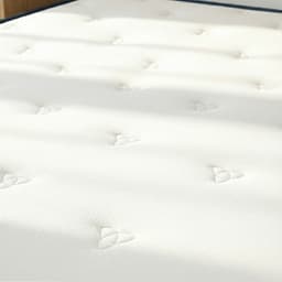 ที่นอน รุ่นคอมฟอร์ทเตอร์ ขนาด 3.5 ฟุต หนา 9 นิ้ว - สีขาว/น้ำเงิน