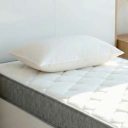 ที่นอน รุ่นรีแล็กเซอร์ ขนาด 3.5 ฟุต หนา 8 นิ้ว พร้อมหมอน 1 ใบ - สีขาว/เทา